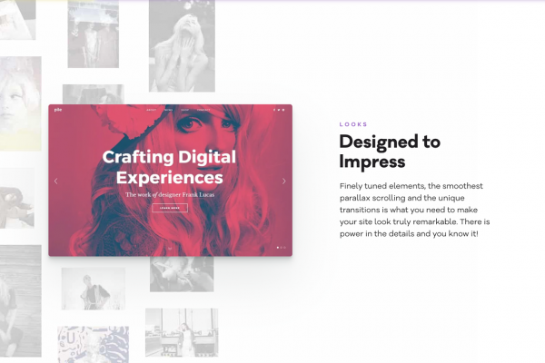 PILE - A WordPress Portfolio Theme